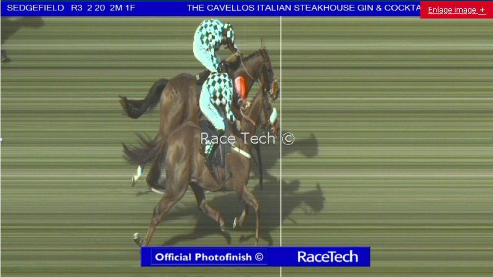 Lucky Robin (red cap) just edges out Snookered in a thrilling photo-finish