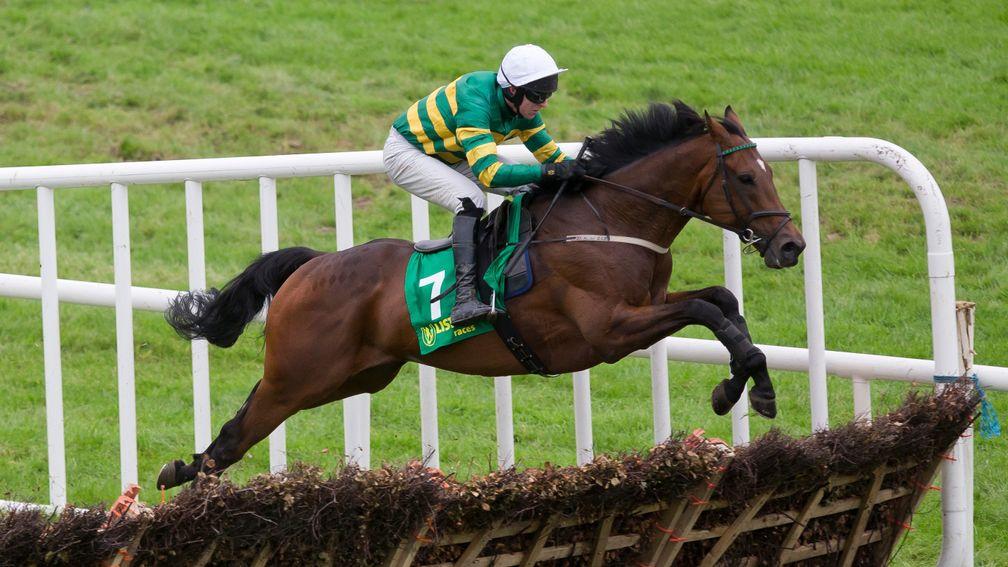 Timiyan could well be Galway Hurdle bound after his victory at Bellewstown