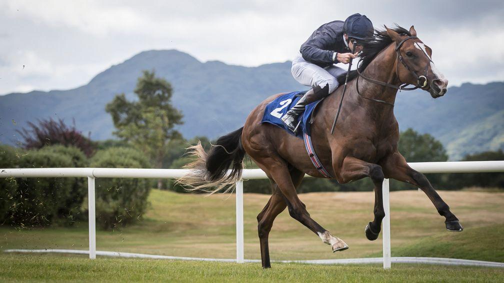 Anthony Van Dyck: shortest price of Aidan O'Brien's Dewhurst possibles