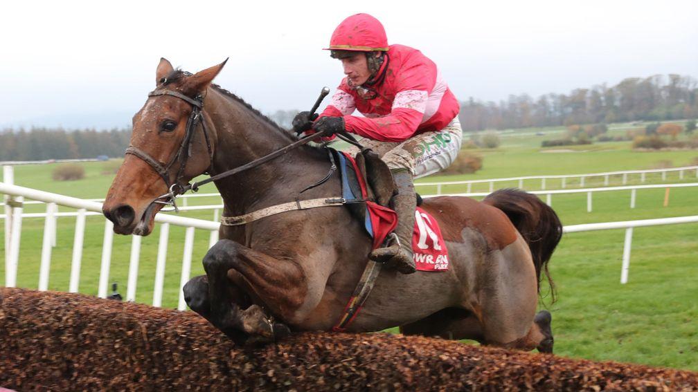 Laurina: bids to provide Willie Mullins with his seventh win in the Racing Post Novice Chase