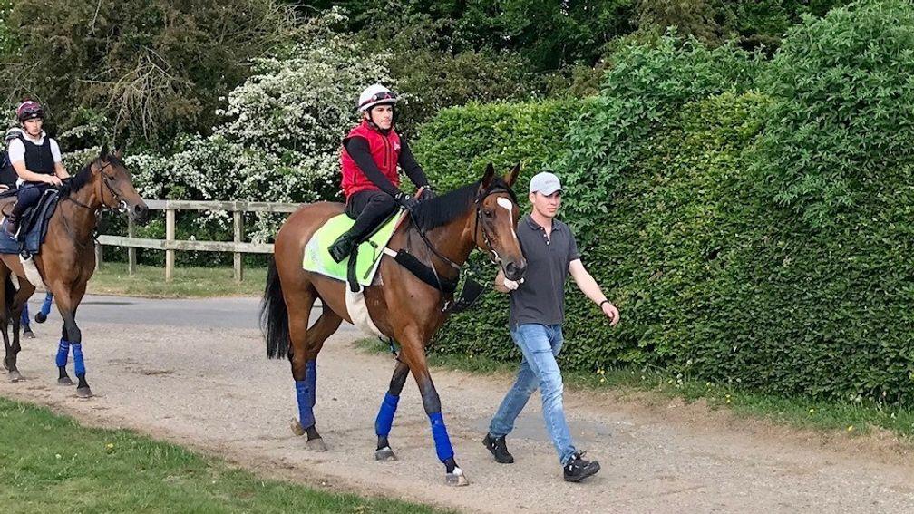 Enable and rider Ben De Paiva are led to the Al Bahathri by trainer's son and assistant trainer Thady Gosden