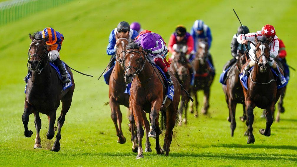 Wembley (left, orange and blue cap) found only St Mark's Basillica (purple) too good in the Dewhurst Stakes at Newmarket