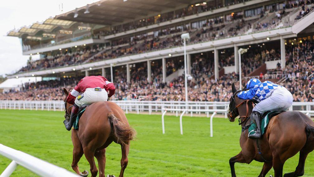Large Crowds at CHELTENHAM 23/10/21Photograph by Grossick Racing Photography