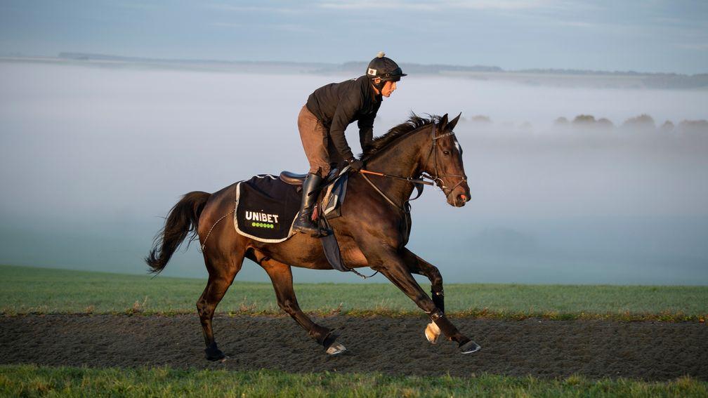 Billy Aprahamian feels the power of the strapping Santini on Nicky Henderson's Lambourn gallops