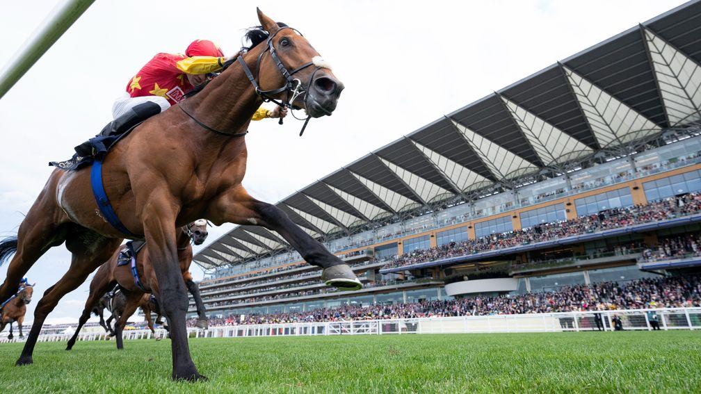 State Of Rest (Shane Crosse) wins the Prince Of Wales's StakesRoyal Ascot 15.6.22 Pic: Edward Whitaker