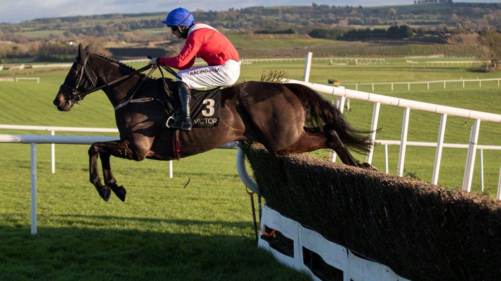 Ferny Hollow: the leading Arkle fancy is among the entries for the Racing Post Novice Chase at Leopardstown
