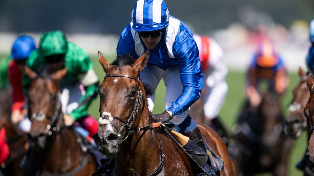 Eqtidaar: his dam Madany rates as one of Sheikh Hamdan's most exciting broodmares