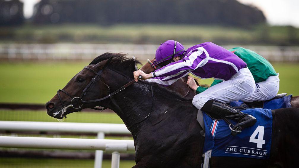 Innisfree lands last season's Beresford Stakes at the Curragh. The race will be staged at Dundalk this year