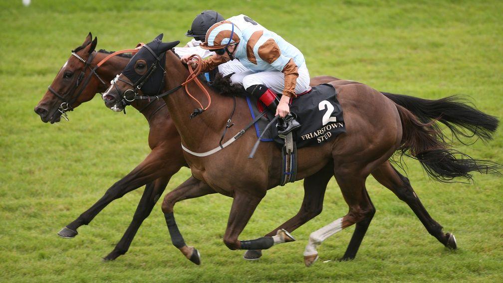 Caspian Prince (near) gets the better of Marsha at the Curragh last year