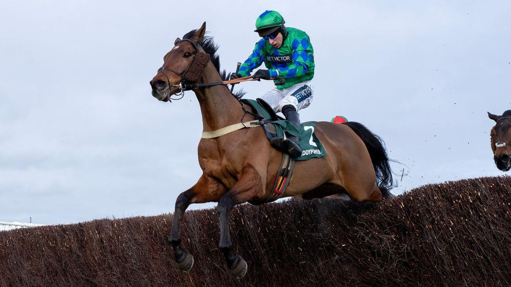 Ga Law: has an entry for the Oaksey Chase at Sandown on Saturday