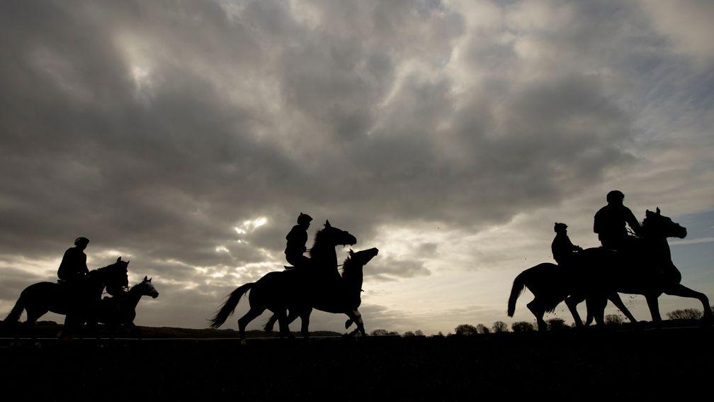 Horses warm up on the gallops on Monday morning at Cheltenham