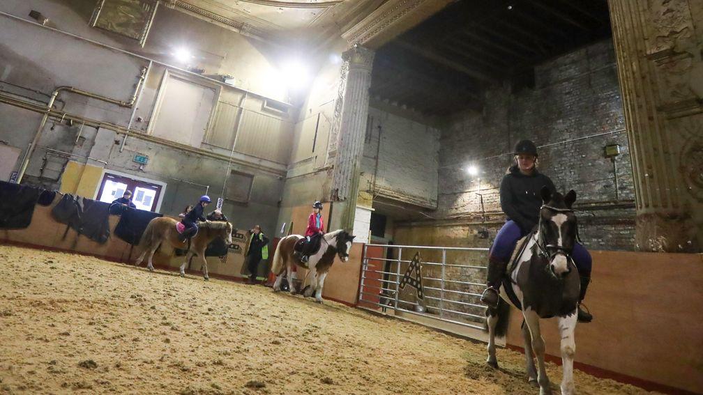 Students in action at Park Palace Ponies