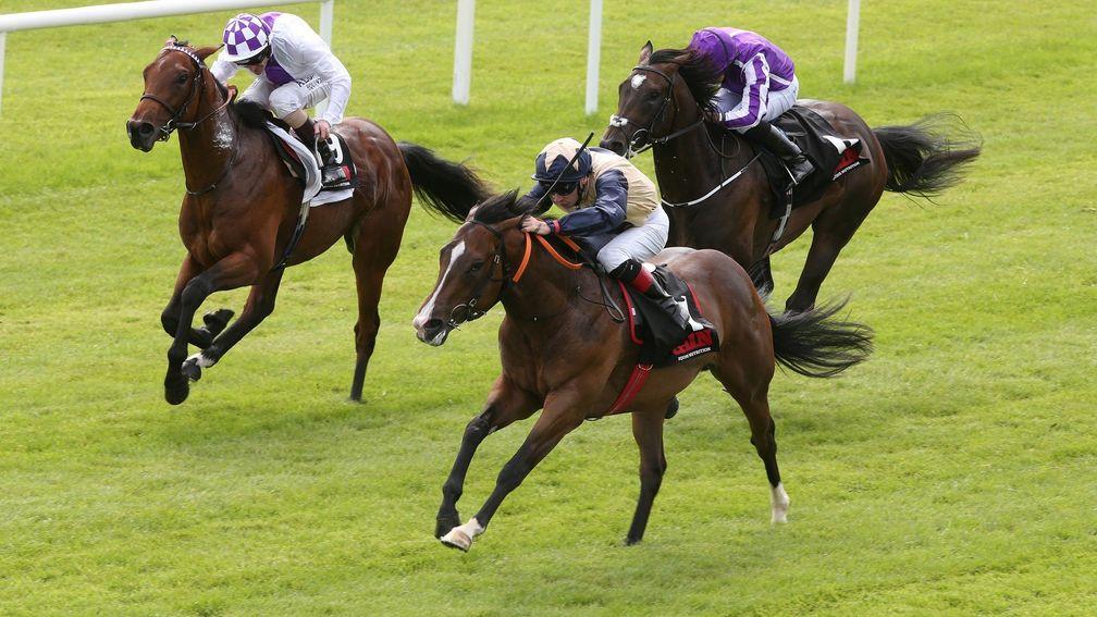 Beckford (near) wins the Group 2 Railway Stakes at the Curragh in 2017