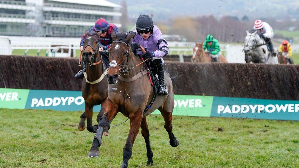 Unexpected Party (grey) jumps the last behind Stage Star and Datsalrightgino at Cheltenham on Saturday