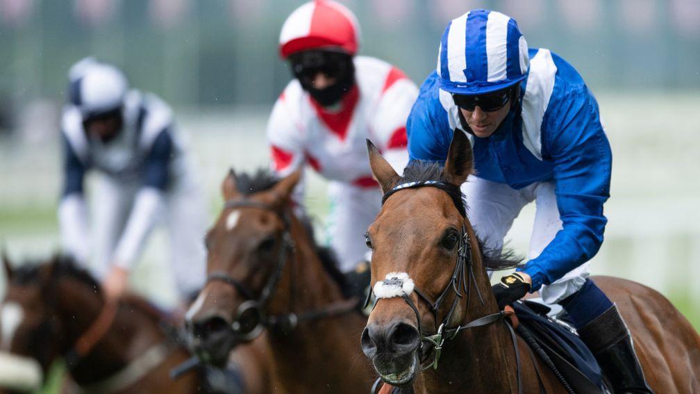 Battaash (right): last year's winner features in a final field of 16 for the King's Stand