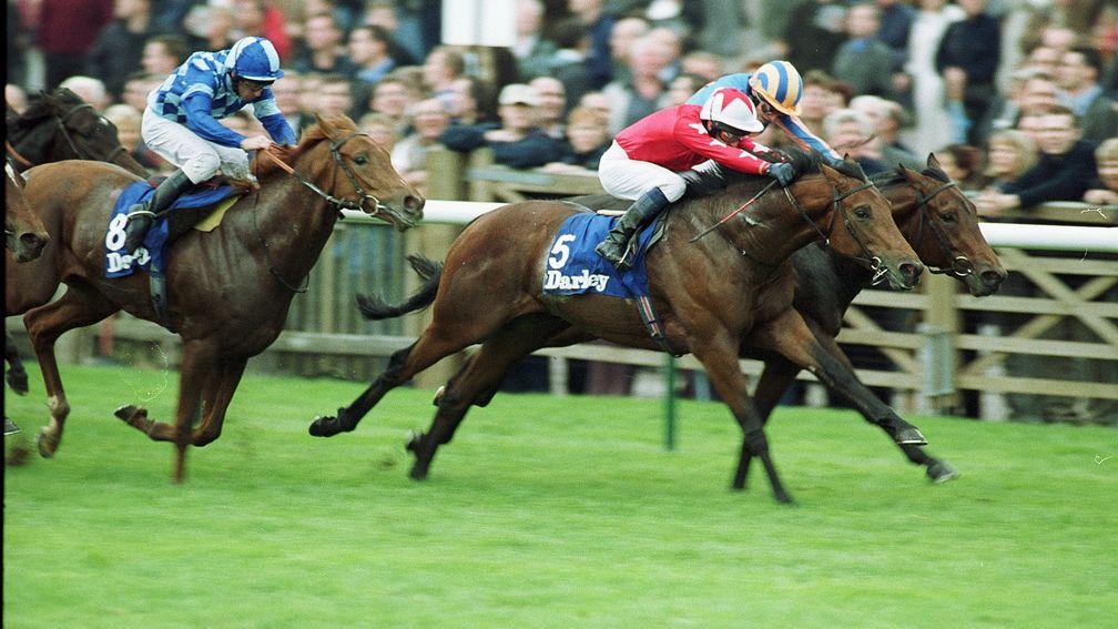 Rock Of Gibraltar winning the Dewhurst Stakes in 2001, a year when only 40 two-year-olds were rated 110 or higher