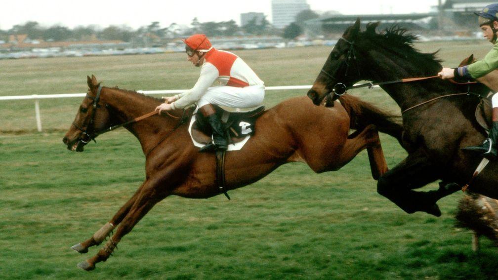 Andy Turnell and Birds Nest en route to success in the 1979 Christmas Hurdle at Kempton