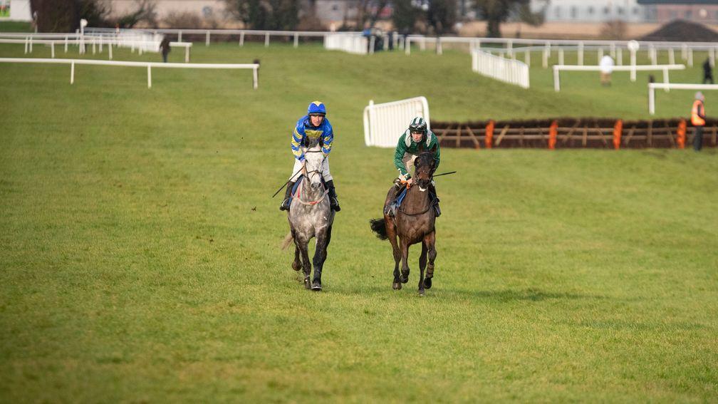 Naas fiasco: Shakeytry (left) and Sean Says canter back after the controversial start