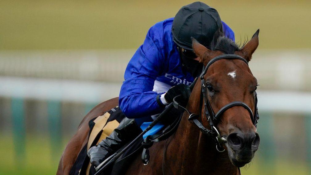 Noble Dynasty: 3-4 since being gelded including a feature success at Lingfield on Saturday