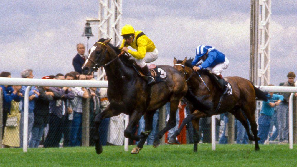 Mtoto and Michael Roberts beat Unfuwain and Willie Carson in the 1988 King George