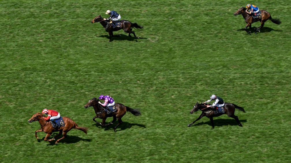 Daahyeh (David Egan, red) leads the field in the Albany up the centre of the track at Ascot