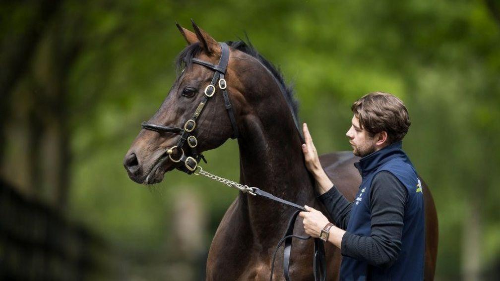 Invincible Spirit: the dominant force at the Irish National Stud