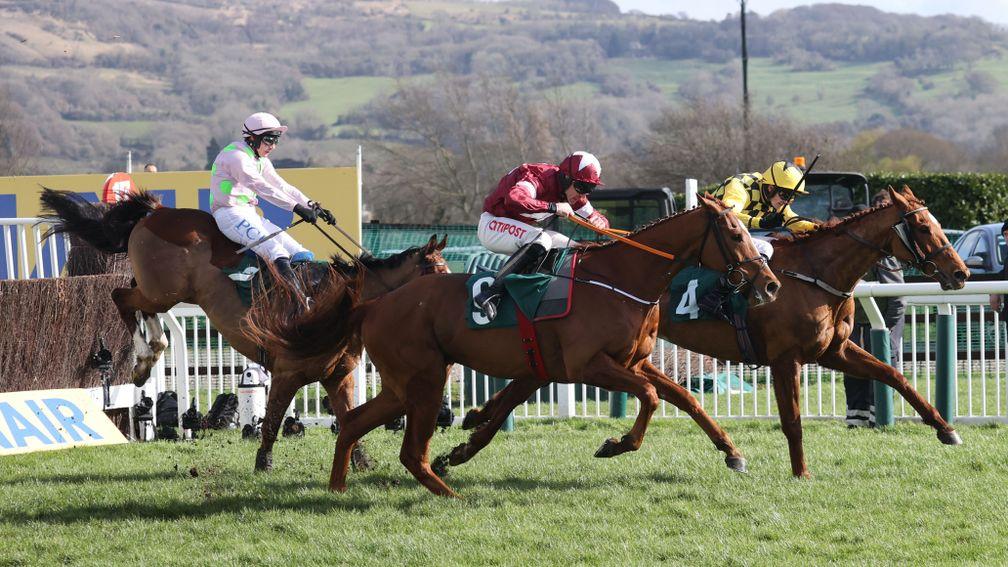 Samcro: seen here trading blows with Melon and Faugheen in the Marsh Novices' Chase at Cheltenham in March