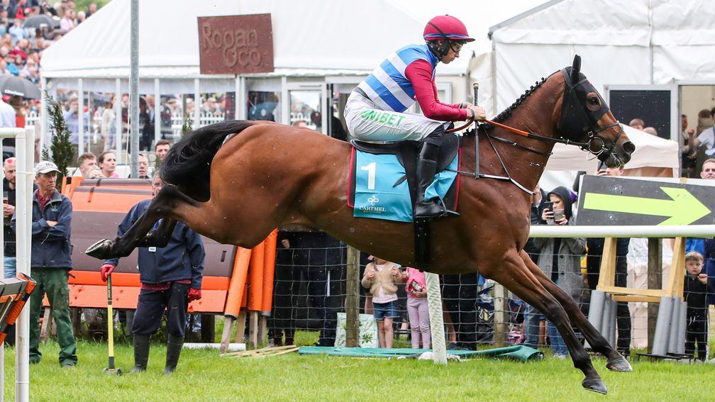 The Butcher Said: Olly Murphy-trained runner could be well treated by the handicapper