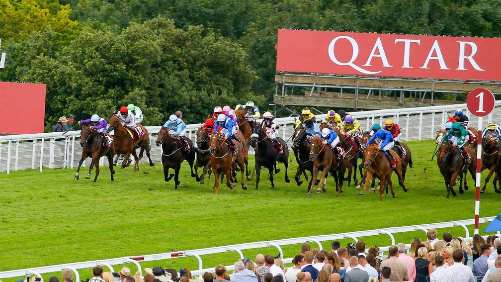 Dancing Star (purple and blue, far side) wins the 2016 Stewards Cup