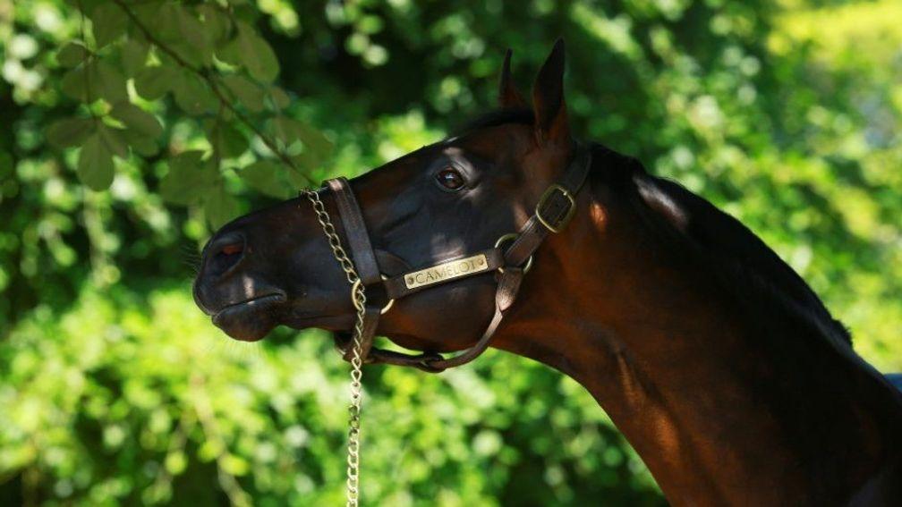 Camelot: sire of ten Group 1 winners