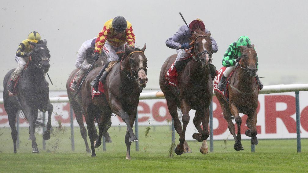 HATHAL and Frankie Dettori win at Haydock Park 3/9/16Photograph by Grossick Racing Photography 0771 046 1723