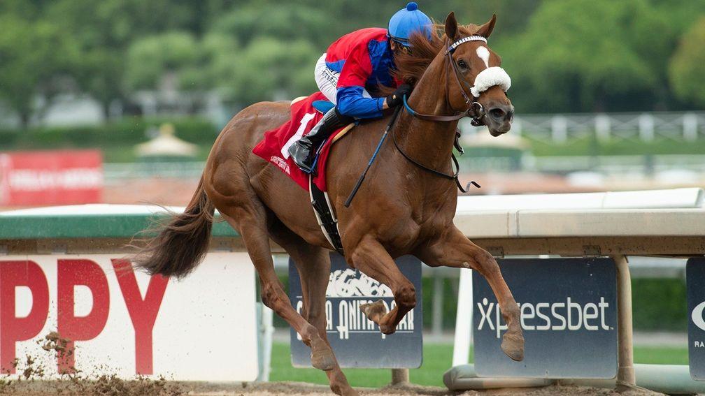 Swiss Skydiver: favourite for the Blue Grass Stakes at Keeneland