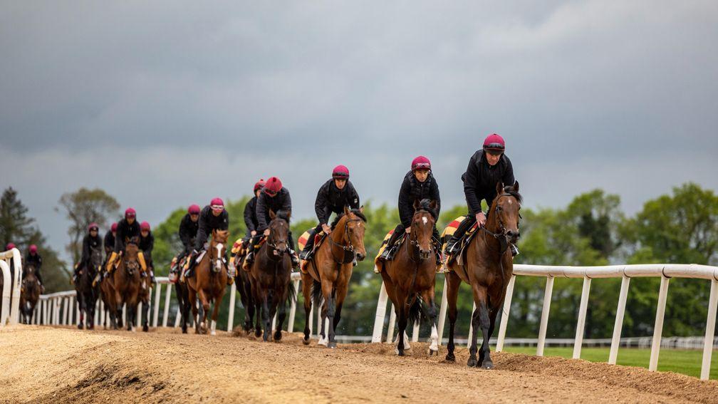 1st lot led by Sussex (Robbie Moran) after their first canter this morning at Ballydoyle.Photo: Patrick McCann/Racing Post09.05.2022