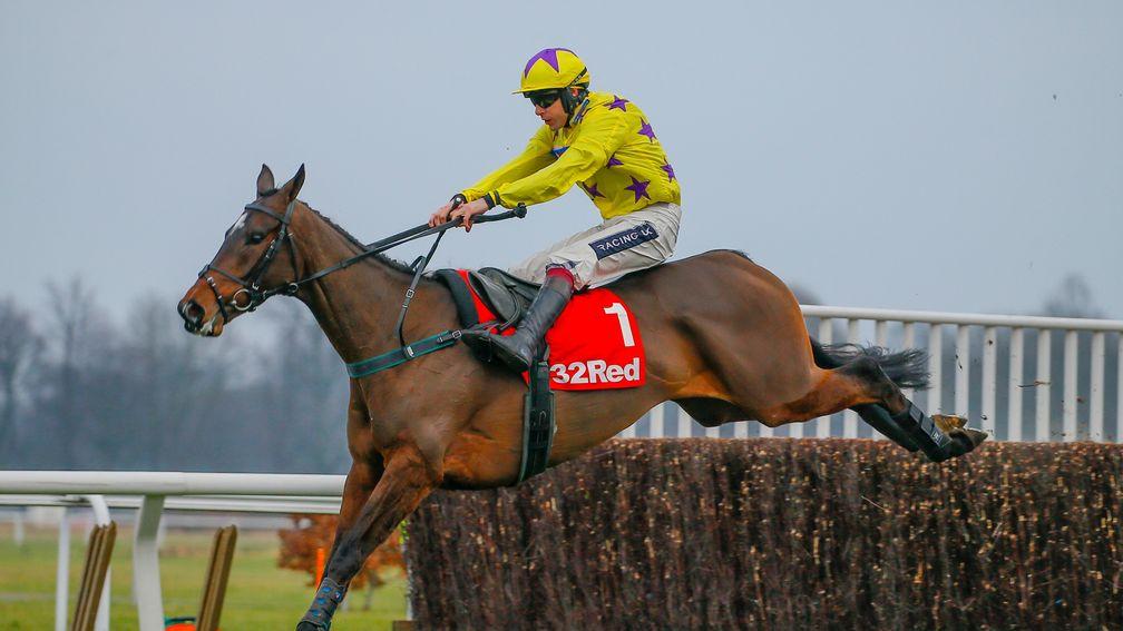 Fountains Windfall: had been second favourite for RSA Chase