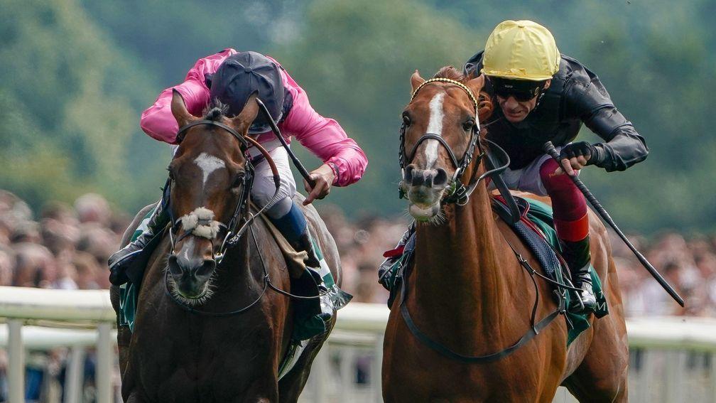 Stradivarius: set to tackle the Doncaster Cup once more on Friday