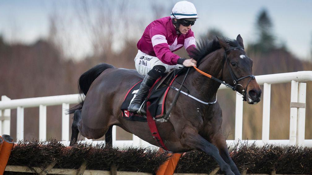 Apple's Jade: drops back in trip in the Champion Hurdle