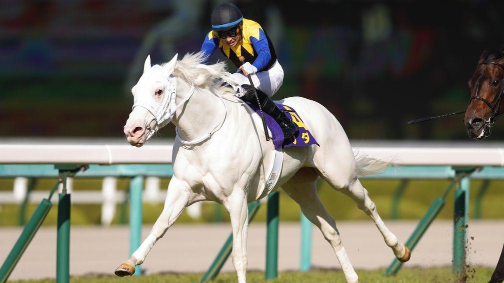 Sodashi gallops to Classic glory under Hayato Yoshida