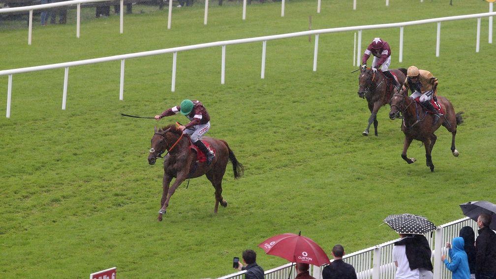 Balko Des Flos goes up 12lb for his Galway Plate triumph