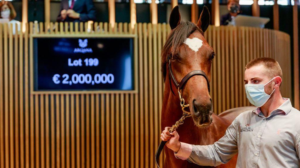 Lot 199: the Galileo brother to Magic Wand brings €2,000,000 to the bid of MV Magnier