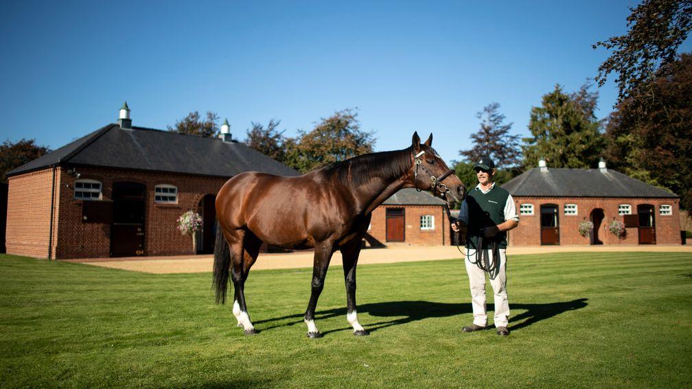 Frankel: Banstead Manor Stud stallion is the sire of 75 stakes winners