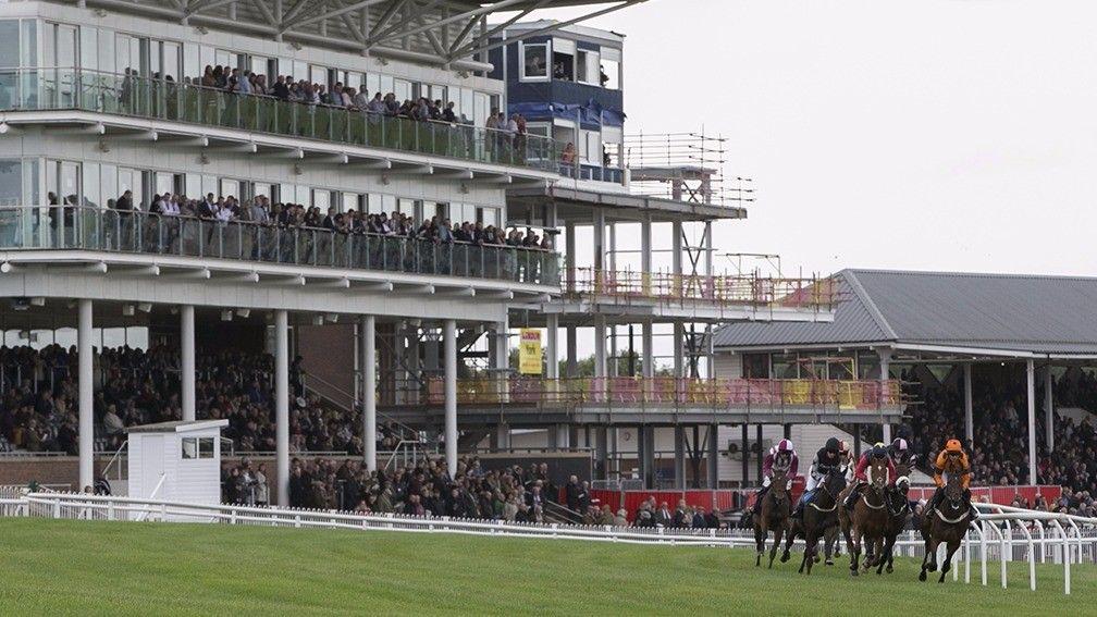 Wetherby: racing on Saturday