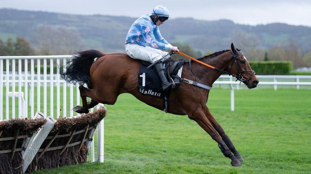 Cannock Park: heads to Aintree for the Grade 1 Formby Novices' Hurdle on Boxing Day
