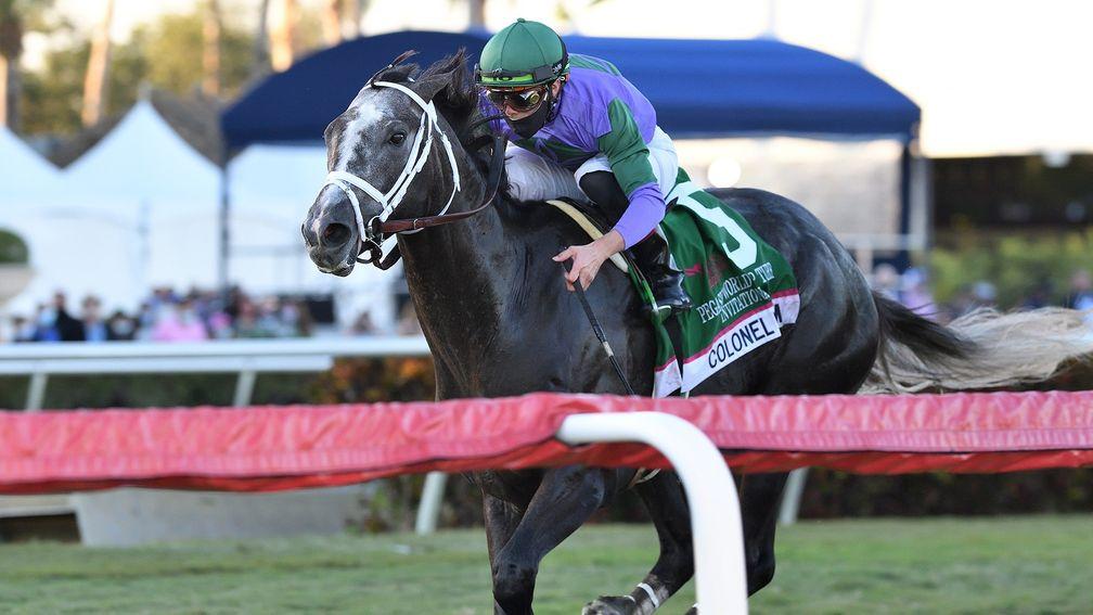 Colonel Liam: landed the Pegasus World Cup Turf