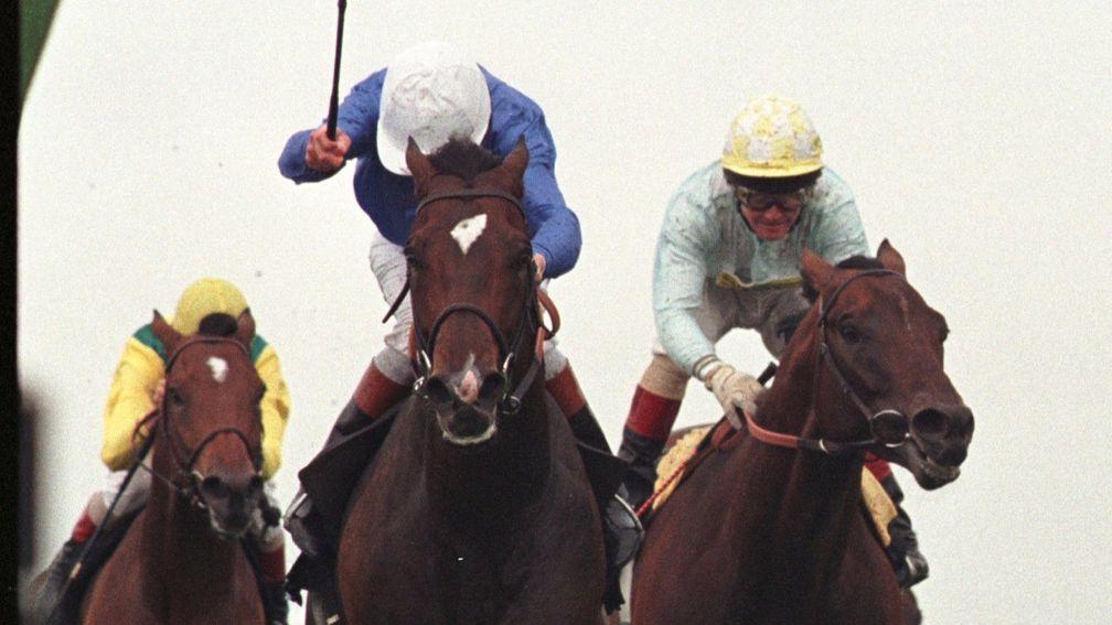 Swain toughs it out from Pilsudski (right) and Helissio under John Reid to land the star-studded 1997 King George