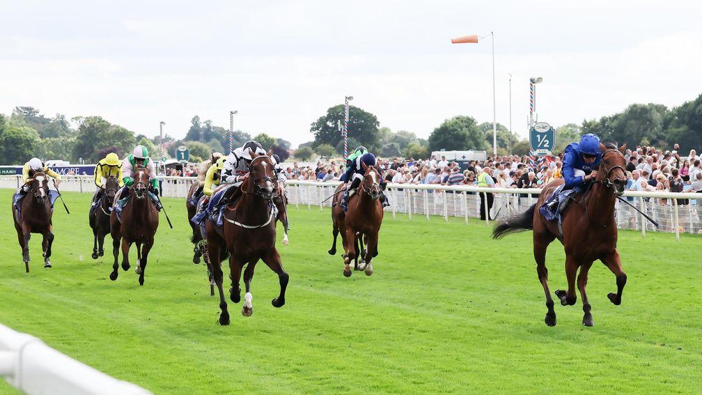 Noble Style (right): cut to 7-1 (from 16) with Betfair and Paddy Power for the 2,000 Guineas