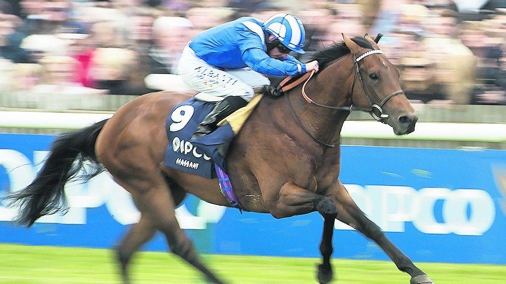 Massaat: helped put trainer Owen Burrows on the map