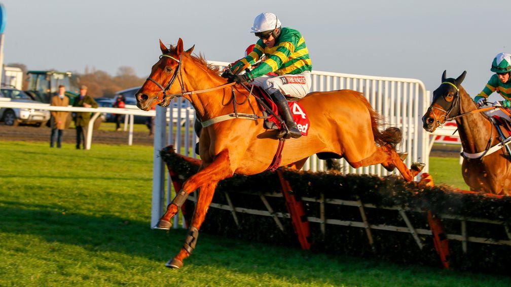 Yanworth: will return to hurdles at the festival
