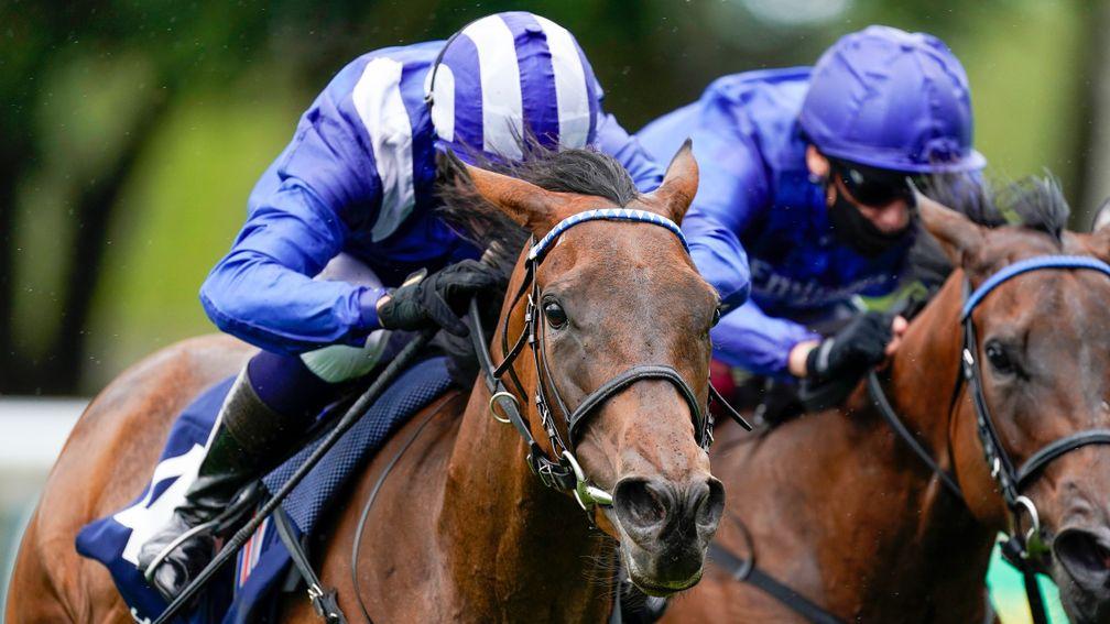 Nazeef: two-time Group 1 winner is due to foal to Mohaather and will visit Frankel