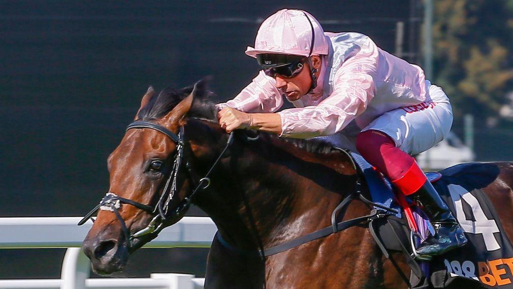 Too Darn Hot: the Solario winner is set for Champagne Stakes on Saturday