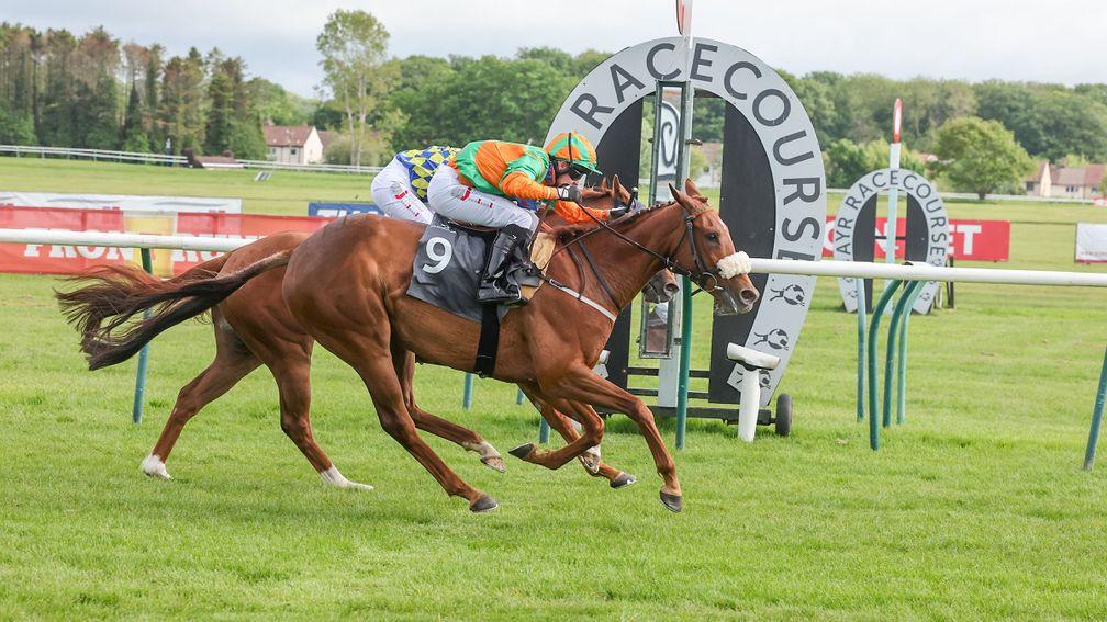 Hostelry (near side): narrowly got up to win at Ayr on Wednesday